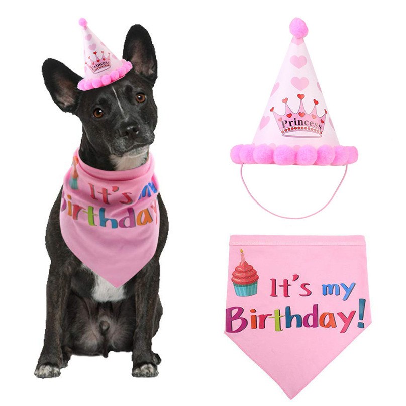 .Pet Birthday Cap – Adorable Headwear for Dogs & Cats