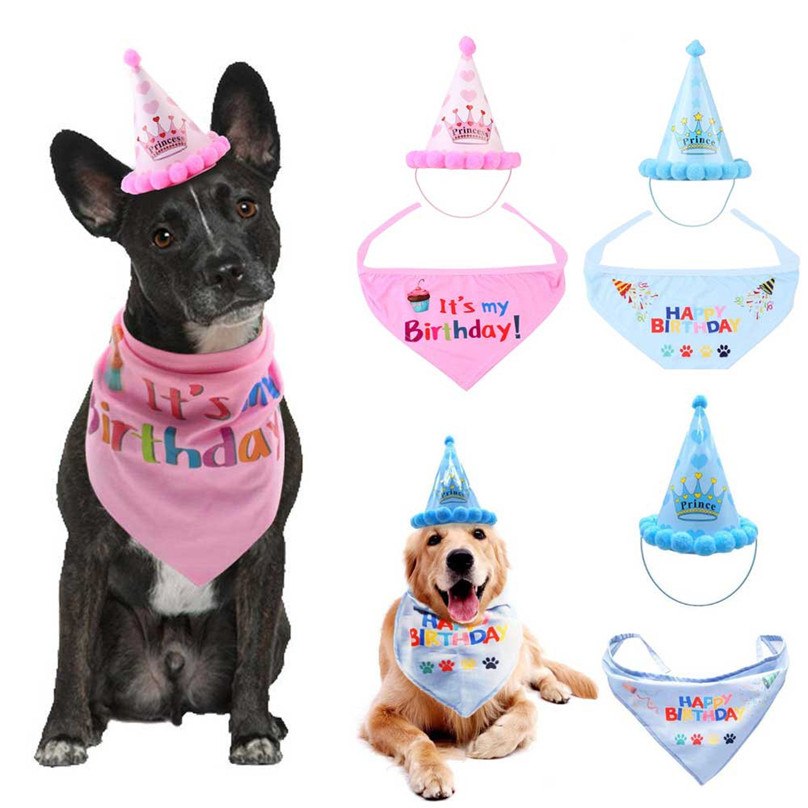 .Pet Birthday Cap – Adorable Headwear for Dogs & Cats
