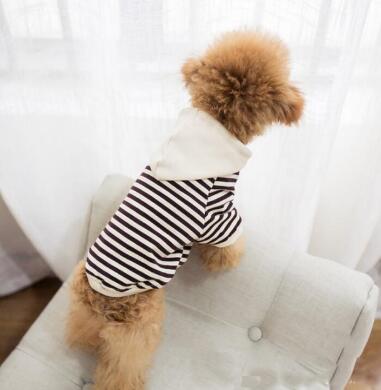 Matching Dog & Owner Leisure Set