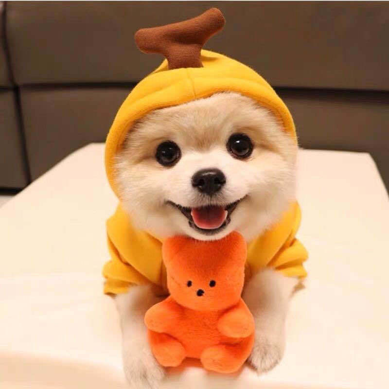 . Autumn Winter Pet Fleece Hoodie for Small Pets.