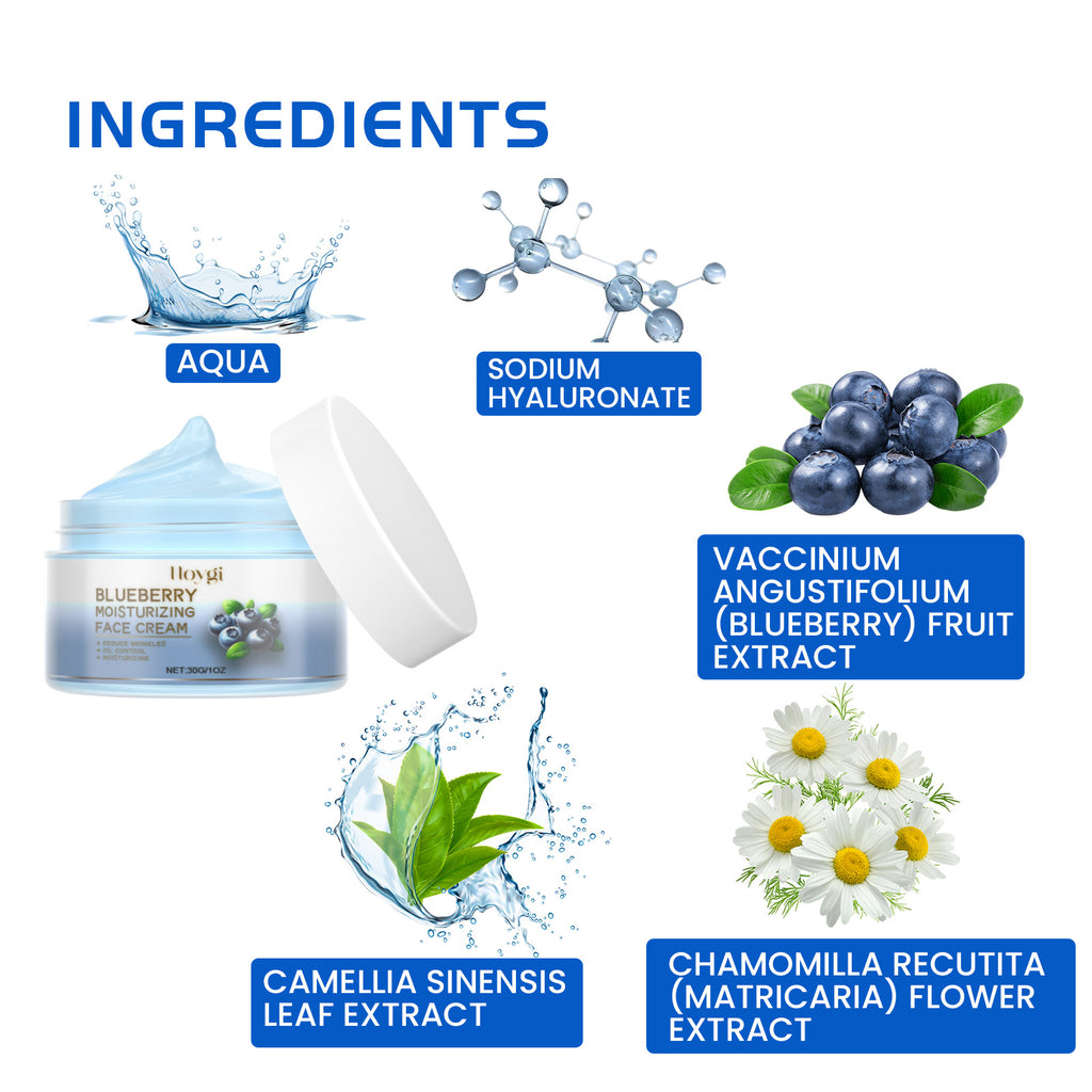HOYGI Blueberry Anti-Wrinkle Brightening Cream