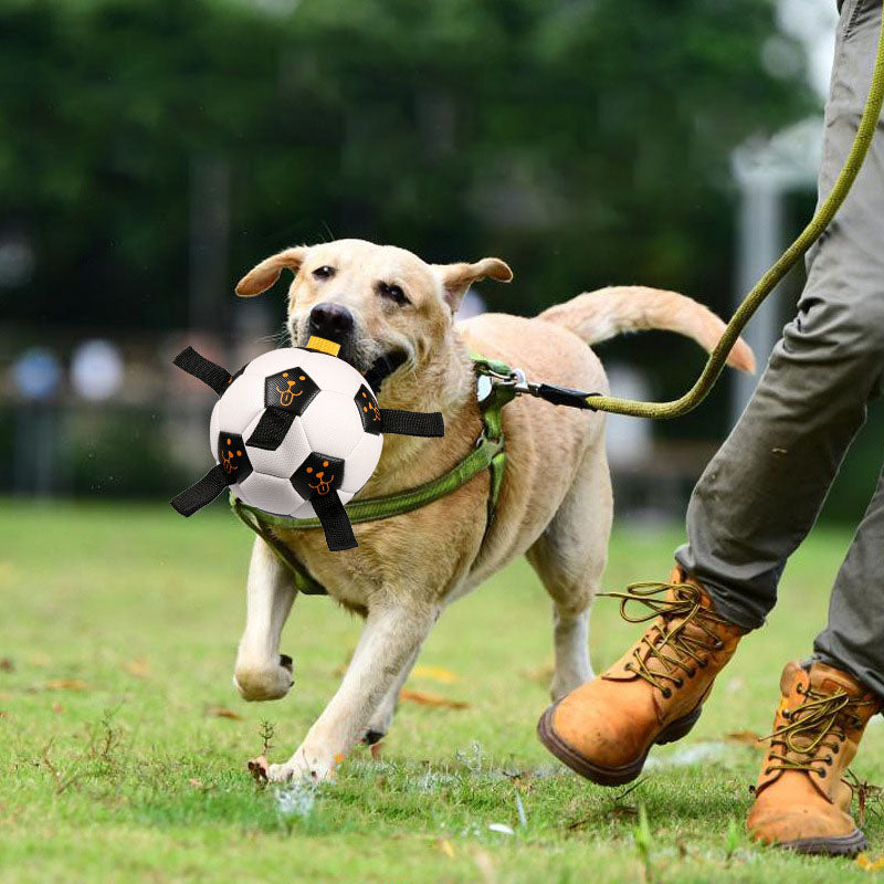 Interactive Dog Ball Toy with rope.