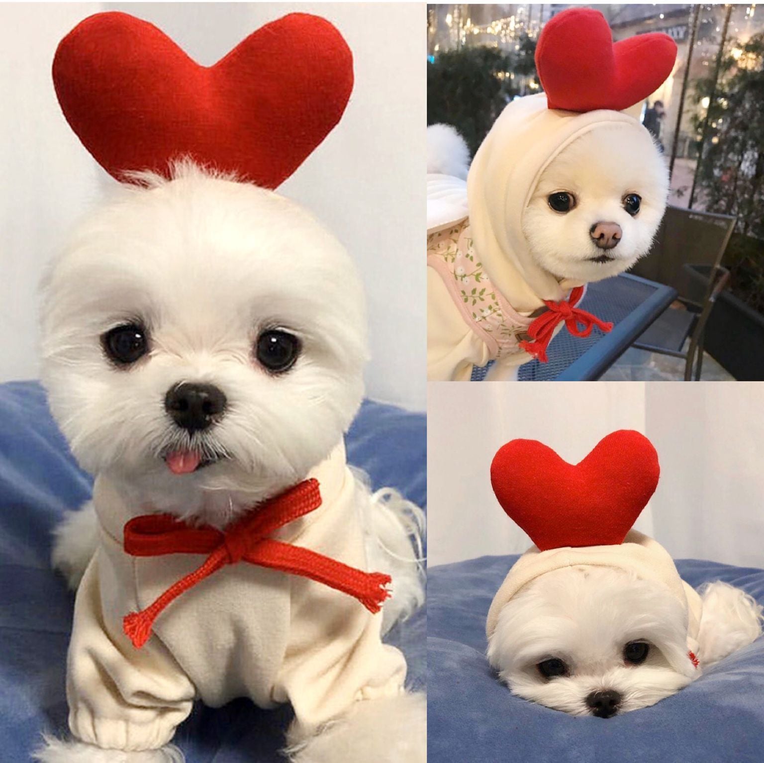 . Autumn Winter Pet Fleece Hoodie for Small Pets.