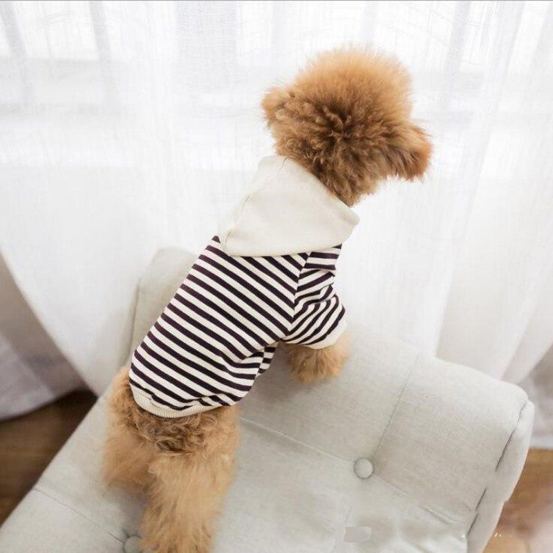 Matching Dog & Owner Leisure Set