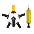 Interactive Dog Ball Toy with rope.