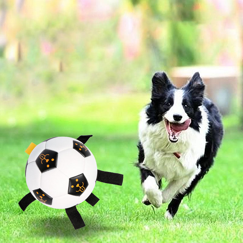 Interactive Dog Ball Toy with rope.