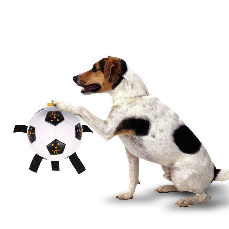 Interactive Dog Ball Toy with rope.