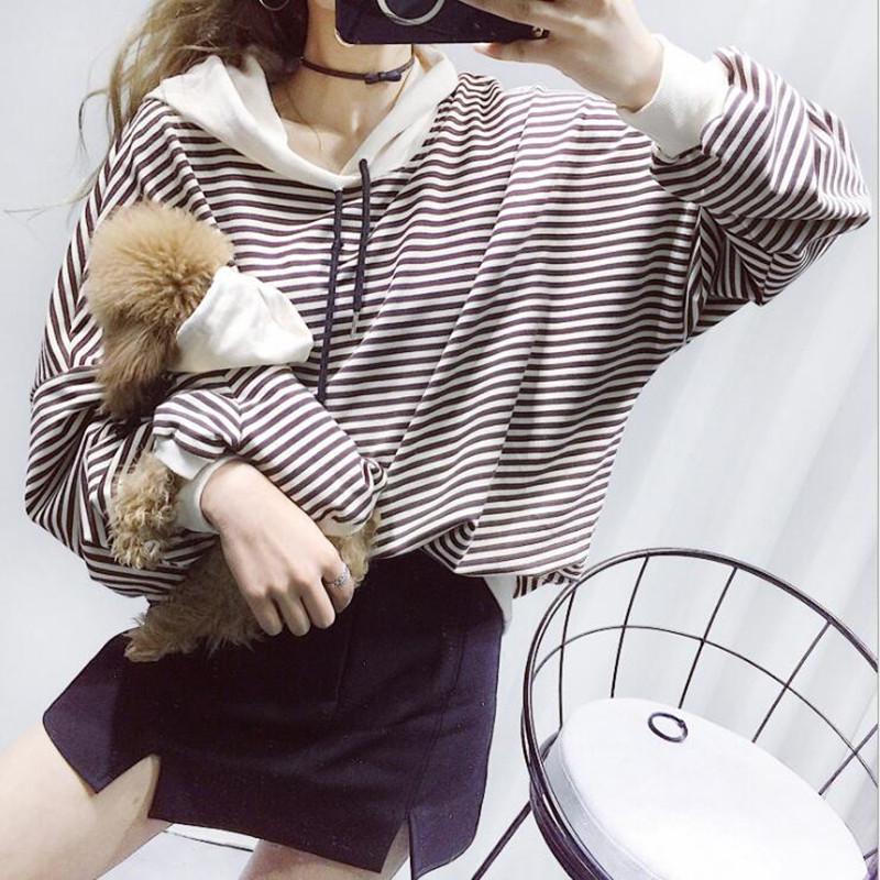 Matching Dog & Owner Leisure Set
