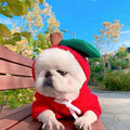 . Autumn Winter Pet Fleece Hoodie for Small Pets.