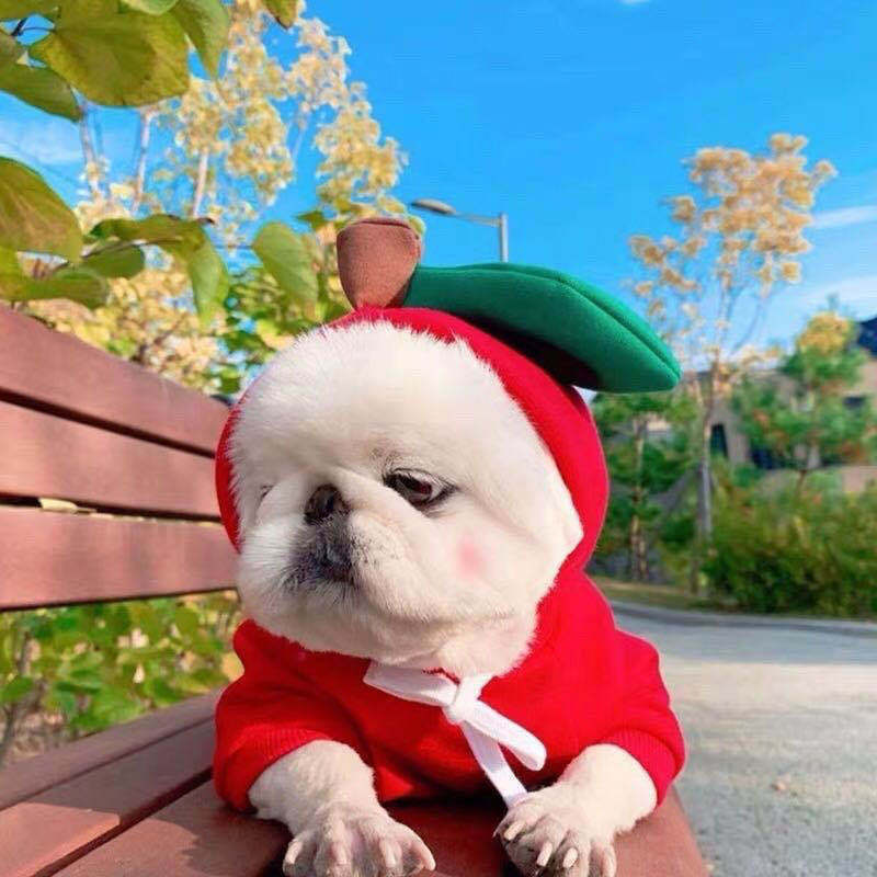 . Autumn Winter Pet Fleece Hoodie for Small Pets.