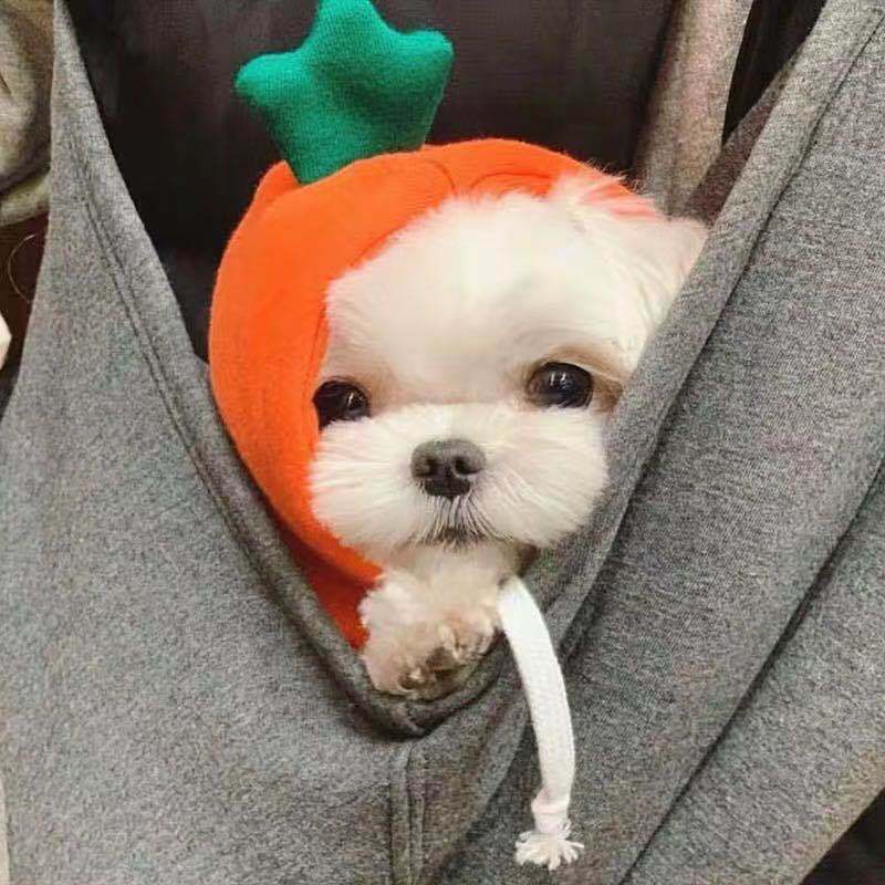. Autumn Winter Pet Fleece Hoodie for Small Pets.
