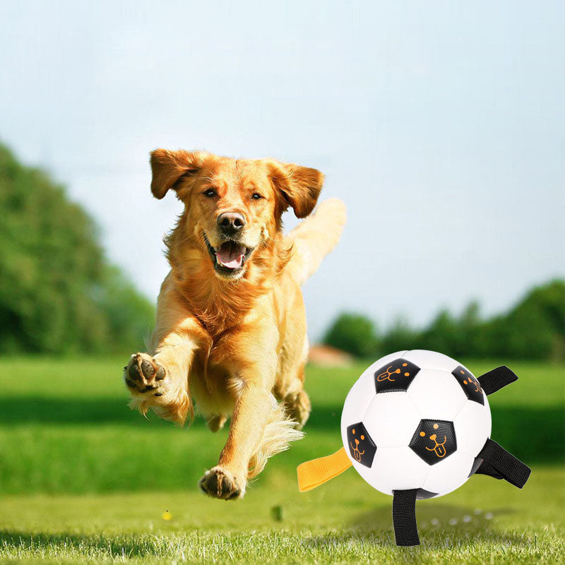 Interactive Dog Ball Toy with rope.