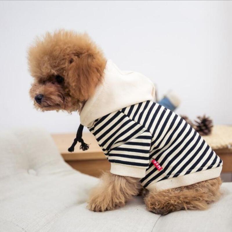 Matching Dog & Owner Leisure Set