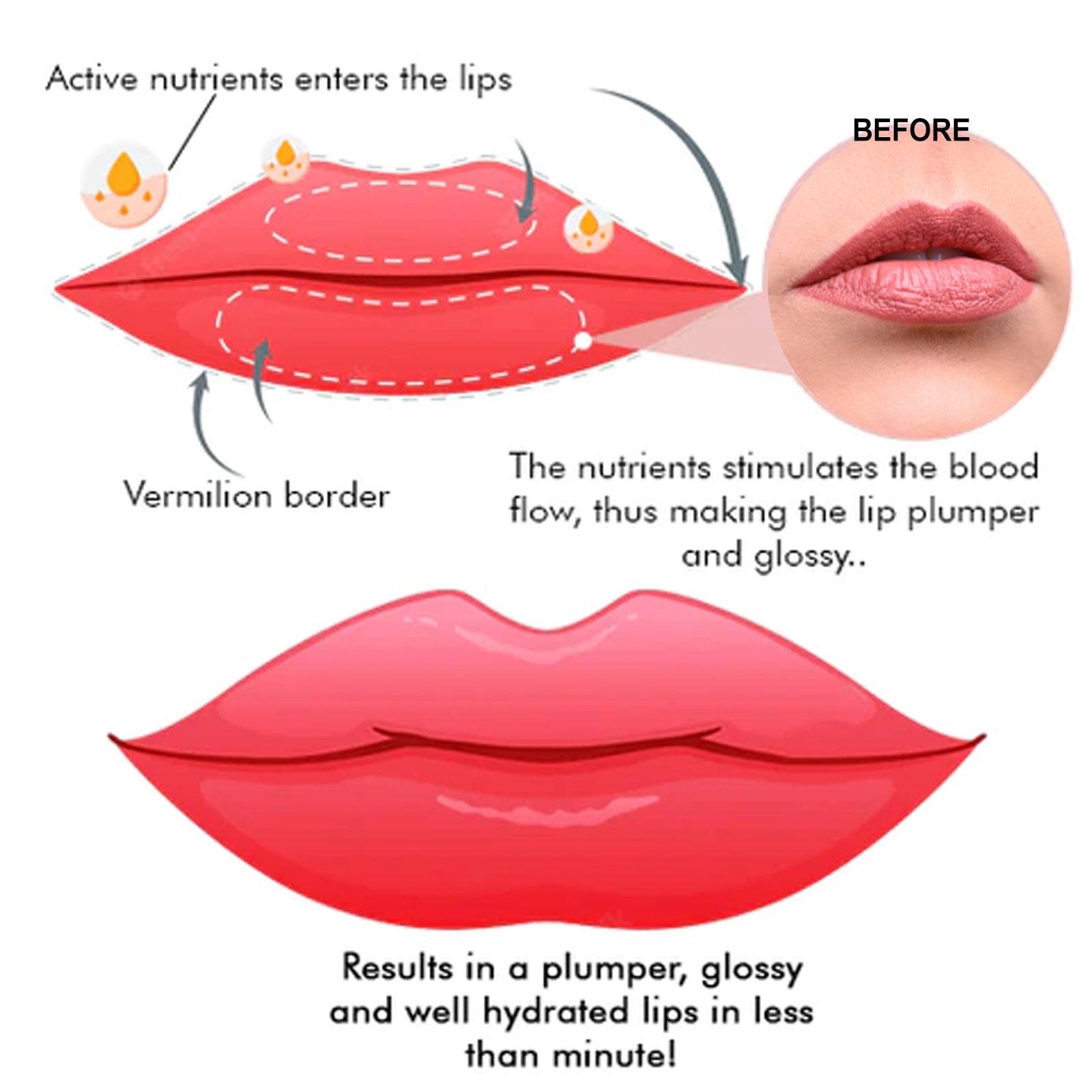 EELHOE Moisturizing Lip Care Treatment